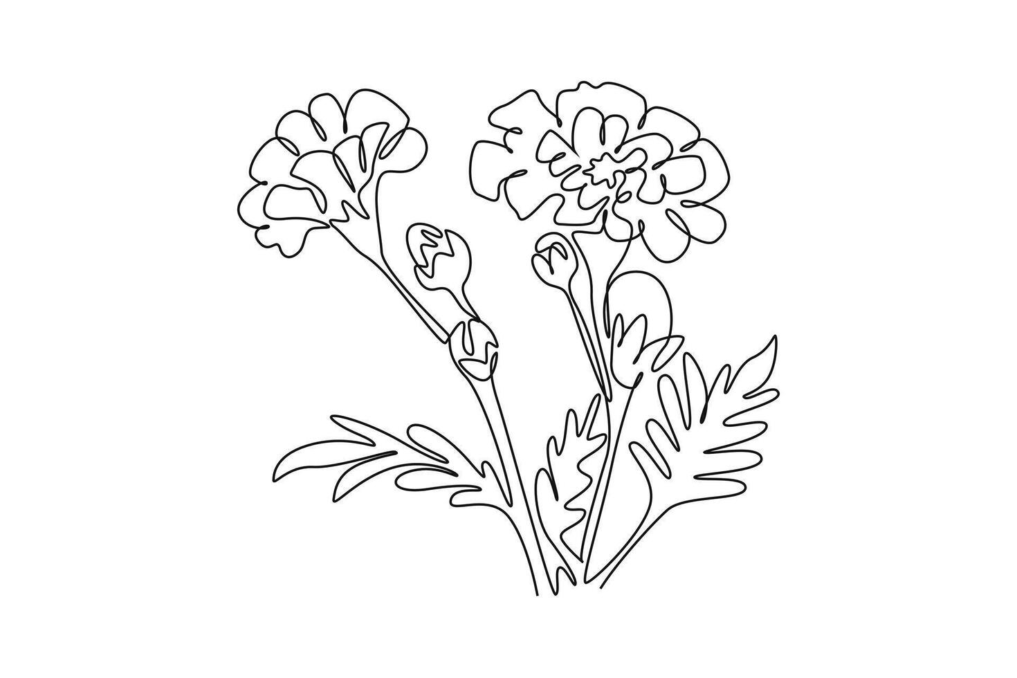 Single continuous line drawing beauty fresh calendula for garden logo. Printable decorative marigold flower concept for home wall decor poster. Dynamic one line draw graphic design illustration vector
