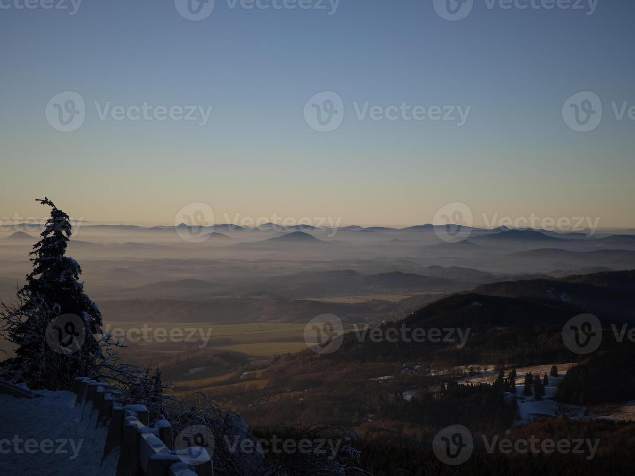 Snowy pine overlooking misty mountain valley in czechia at sunset photo