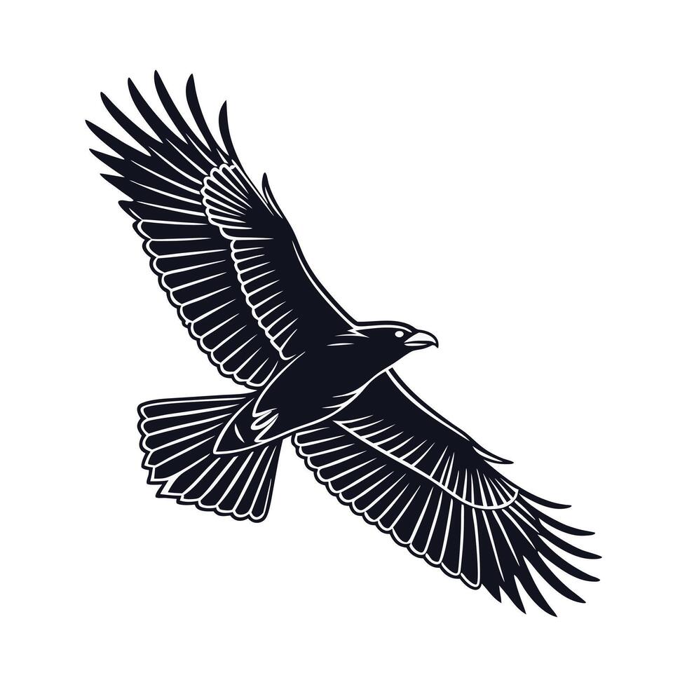 A striking silhouette of a bird in flight, depicted in bold, black lines against a pure white background. vector