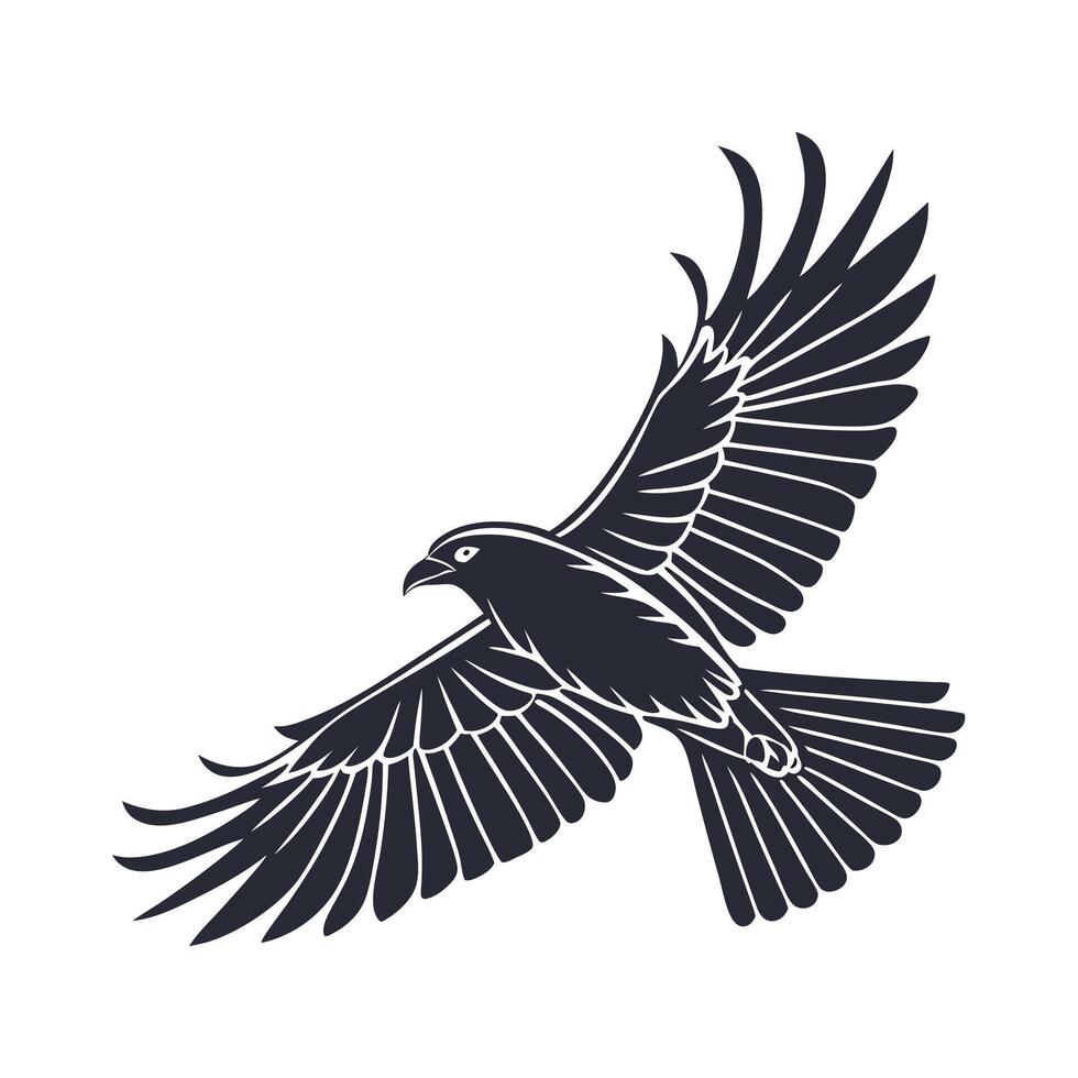 Silhouette of a Soaring Bird in Flight vector