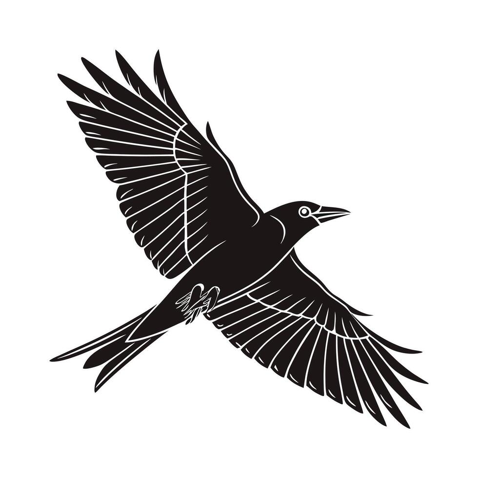 Powerful Raven in Flight, a Striking Vctor Graphic vector