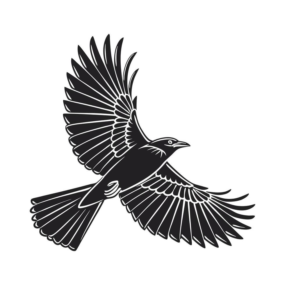 Falcon in Flight, a Striking Black and White Silhouette. vector
