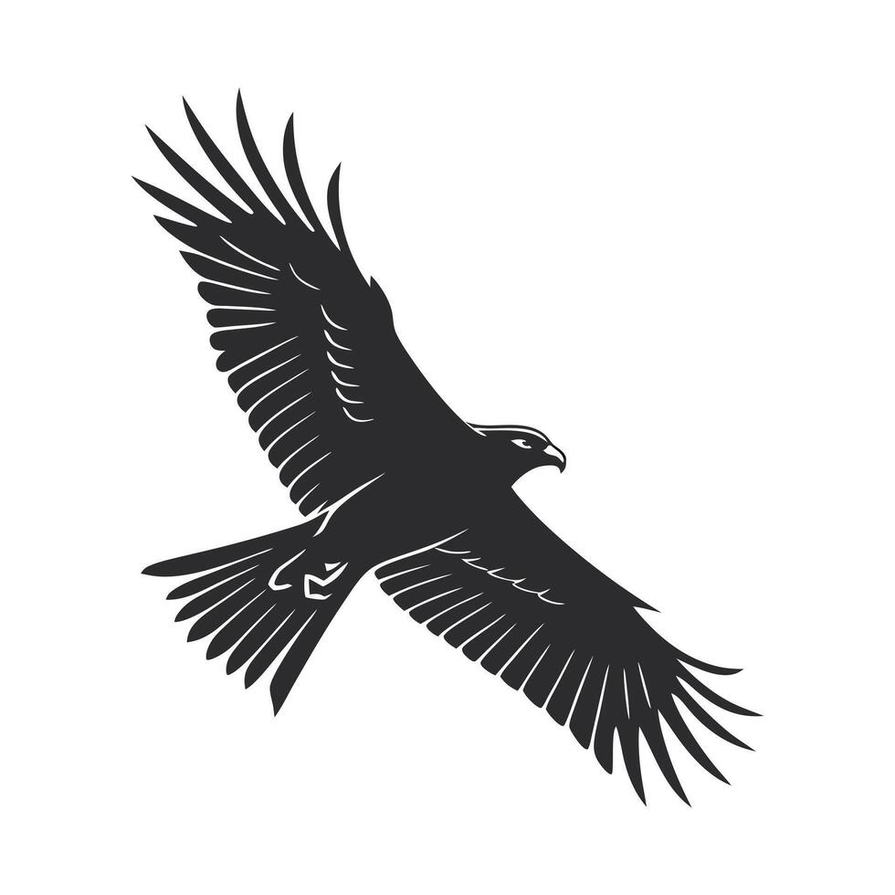 Powerful Bald Eagle in Flight, Black and White Graphic Design vector