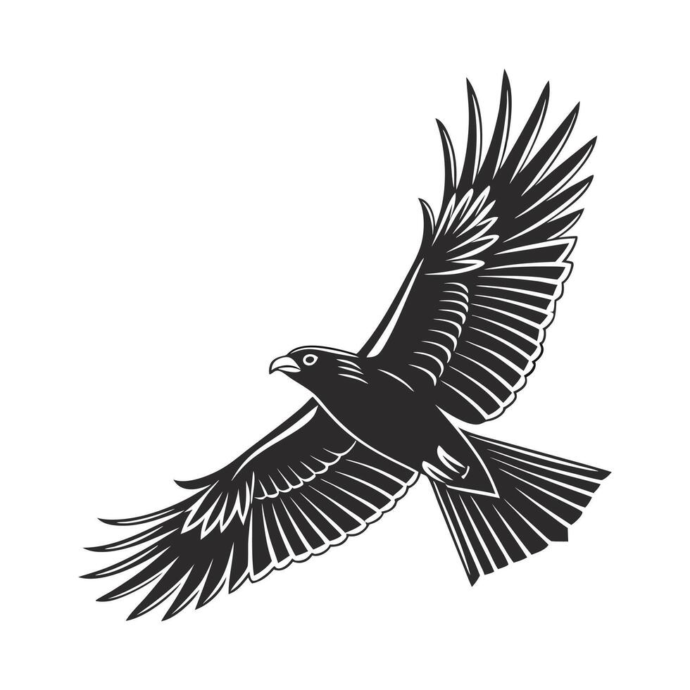 Silhouette of a Soaring Eagle vector