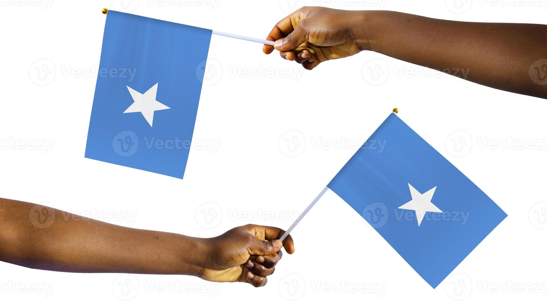 Outstretched Black african Hands holding Somalia national flag isolated over white background, protest, waving, freedom, Somali photo