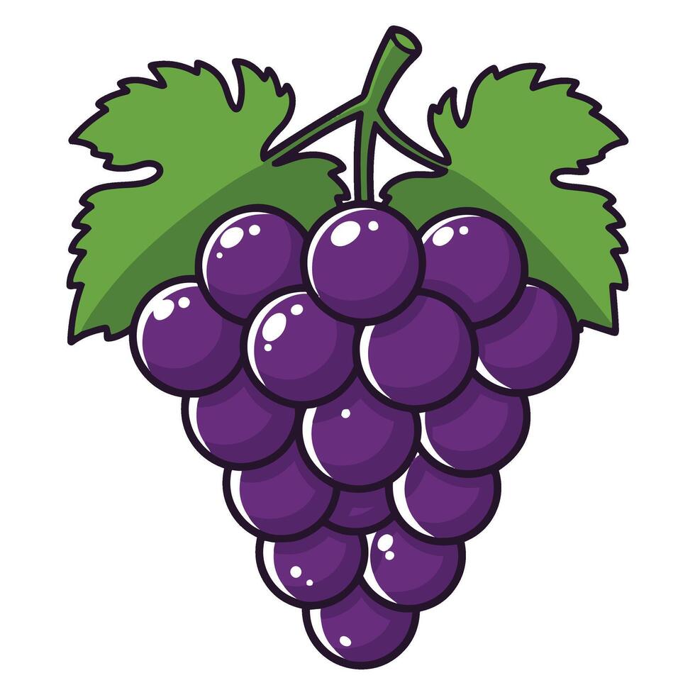 Grapes Icon Set Elegant and Minimalist Green and Purple Grapes Illustrations vector