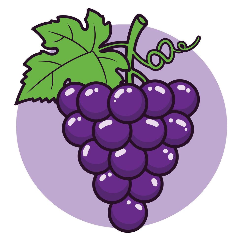Premium Grapes Set Perfect Blend of Artistic Green and Purple Grapes Graphics vector