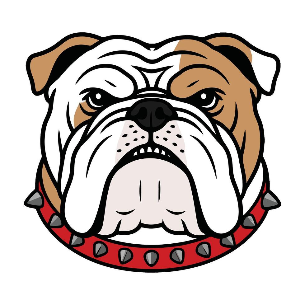 Bulldog head with spikes and red collar vector