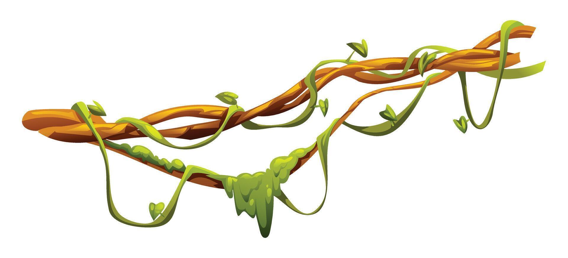 Jungle vines with lush leaves on liana branches. Cartoon illustration vector
