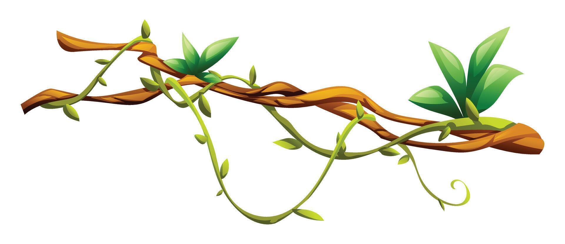 Jungle vines with leaves on liana branch curves. Cartoon illustration vector