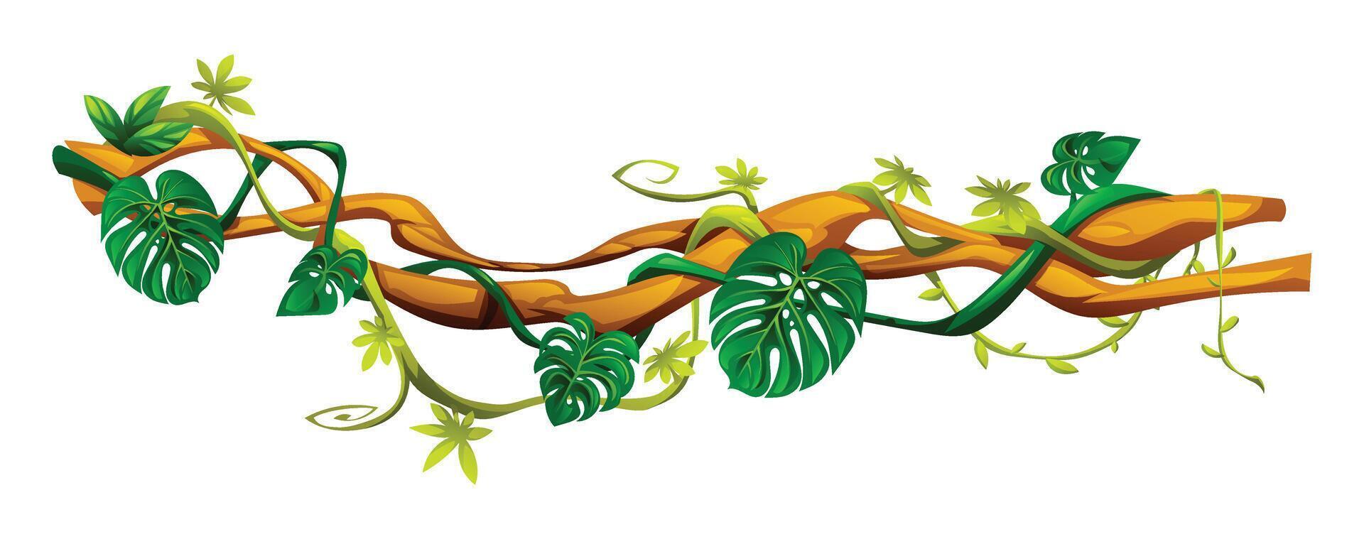 Tropical liana branches with exotic vines, monstera leaves and hanging tendrils. Cartoon illustration vector