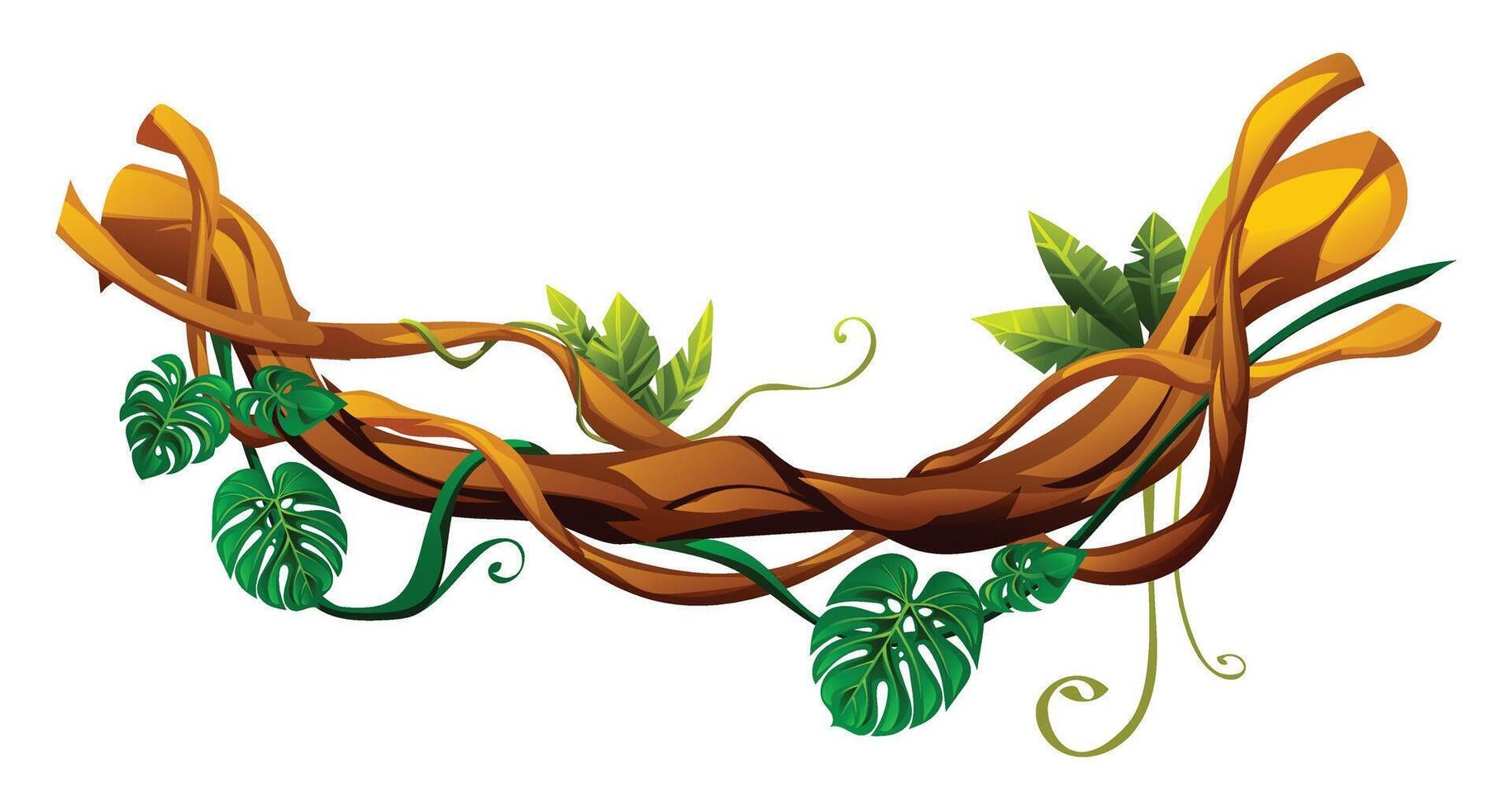 Jungle liana branches with monstera leaves and curling tendrils. Cartoon illustration vector