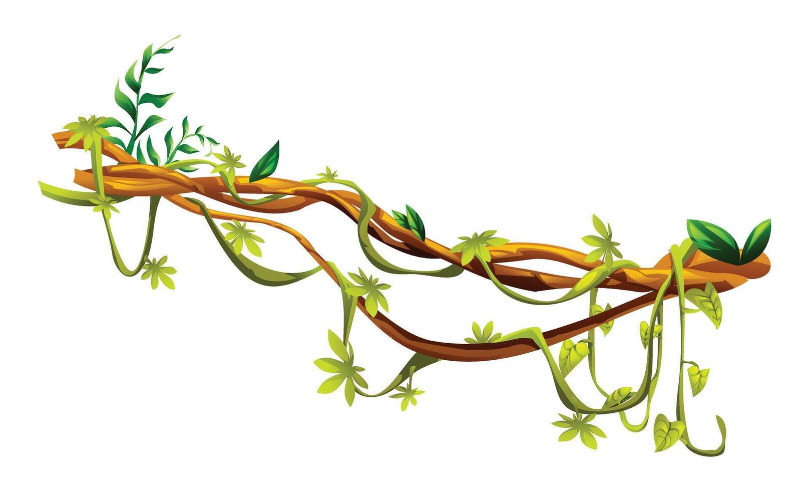 Jungle vine plants with leaves intertwined on liana branches. Cartoon illustration vector