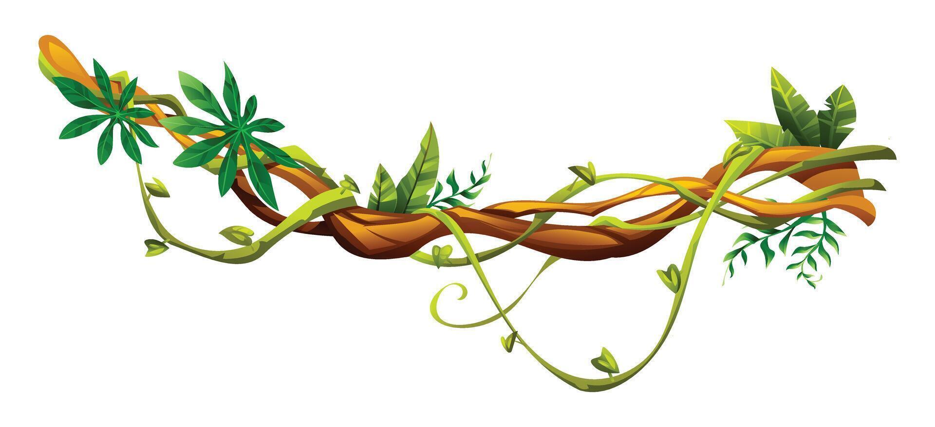Jungle vine plants with various leaves wrapped around natural liana branches. Cartoon illustration vector