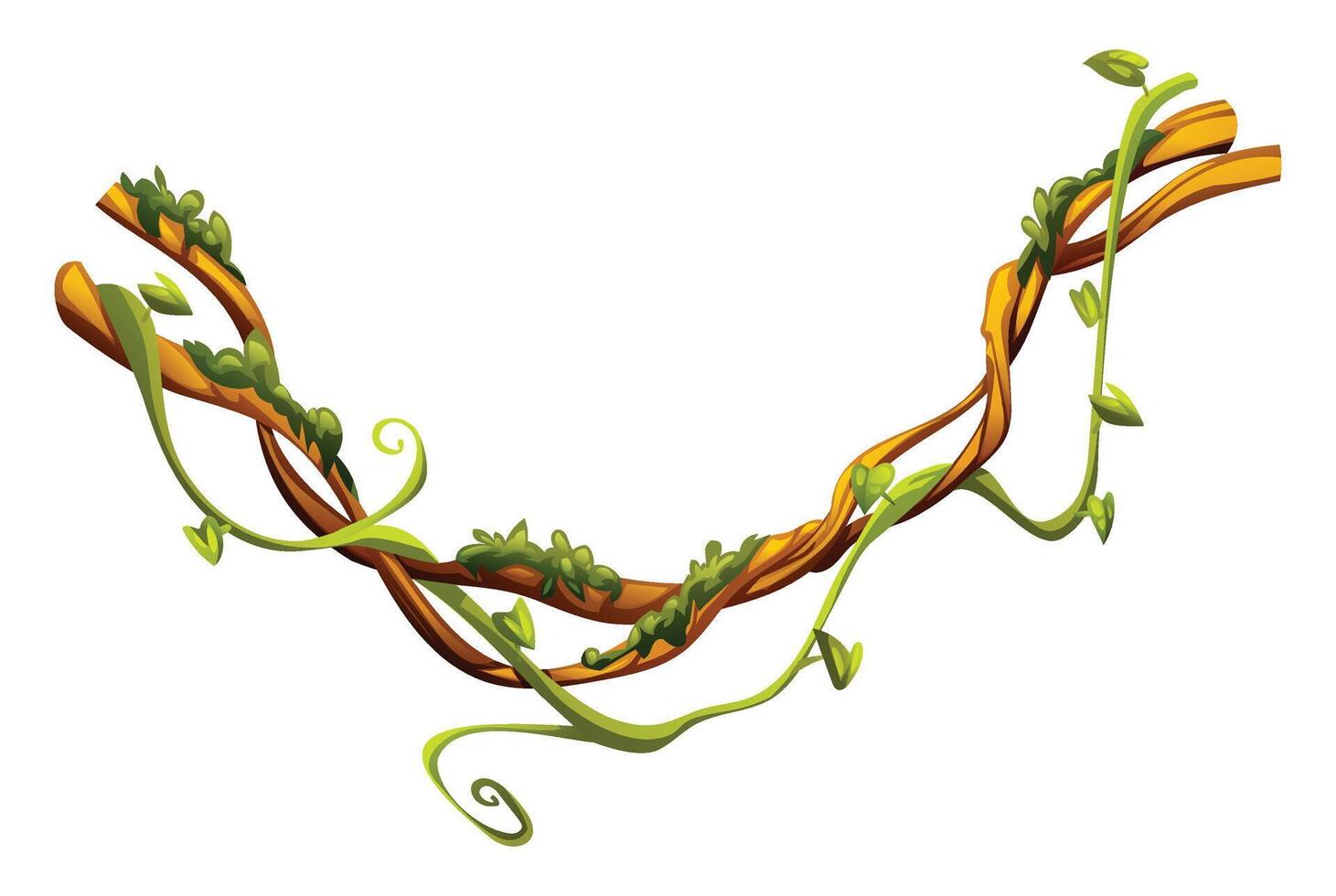 Jungle vines with leaves and liana branches intertwined. Cartoon illustration vector