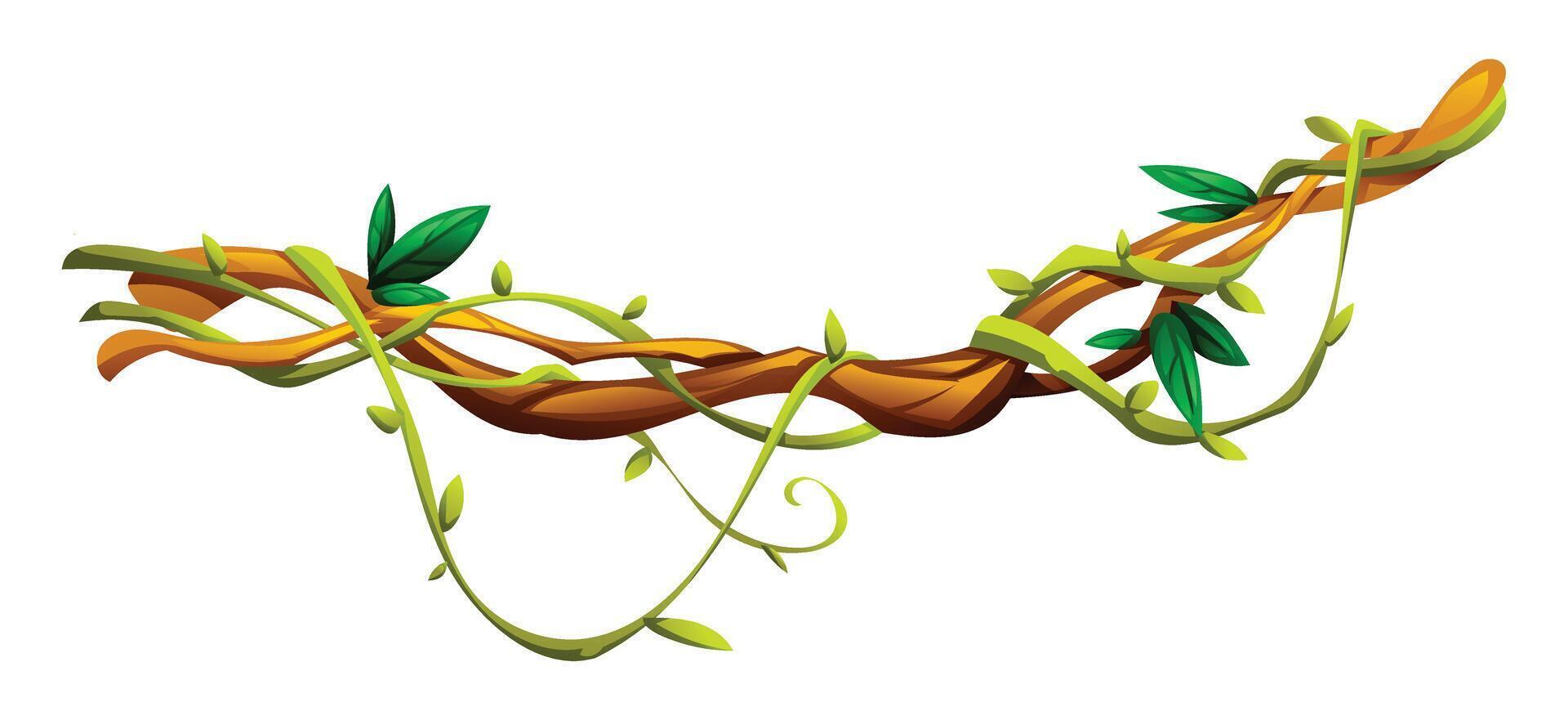 Jungle vines wrapped with leaves on liana branches. Cartoon illustration vector