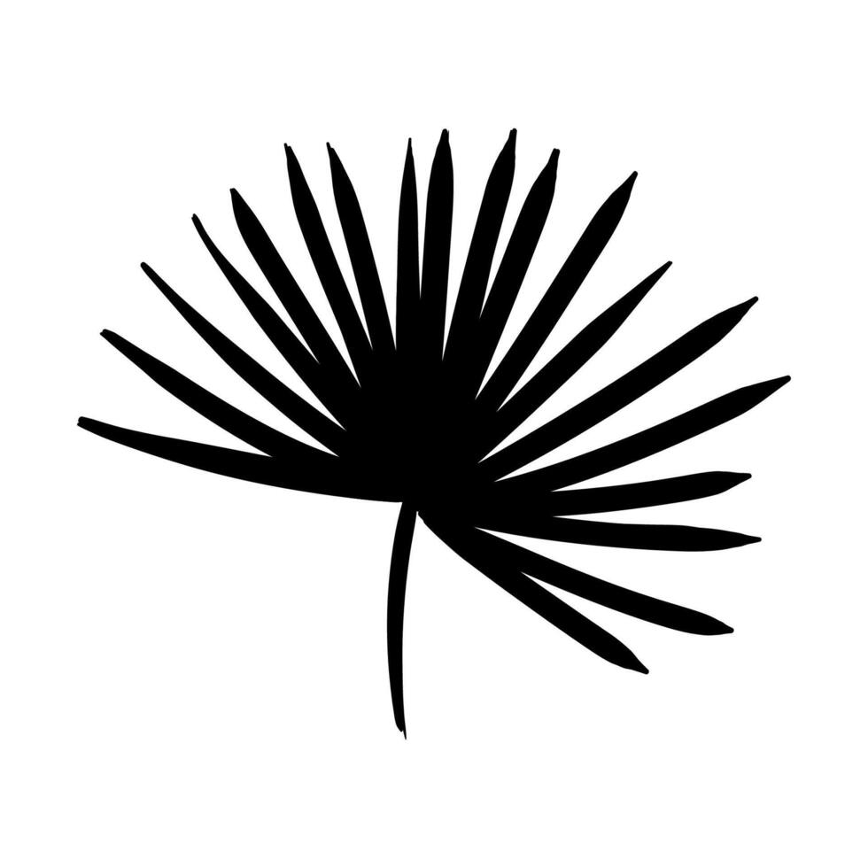 Various black leaves arranged in an artistic flat design showcasing tropical flora and natural beauty vector