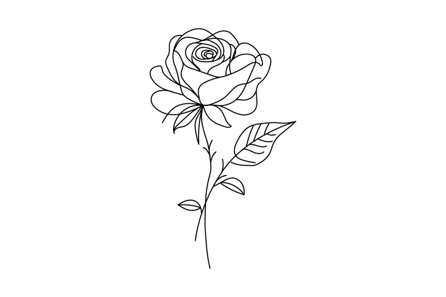Rose flower one line art of flower isolated outline illustration vector