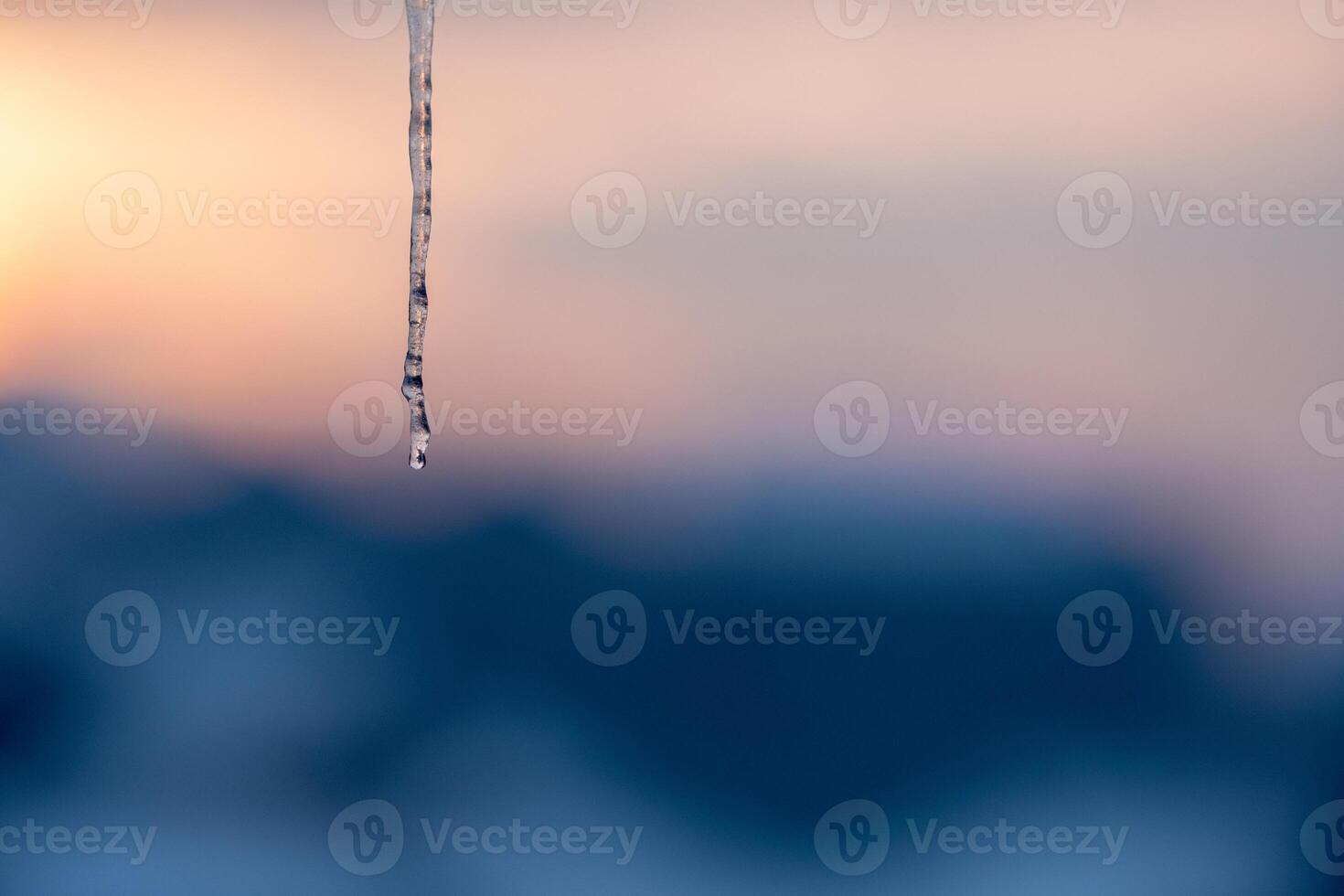 Icicle melting at sunset a drop about to fall Tranquil winter scene photo