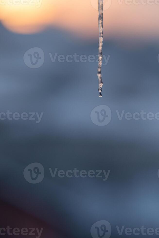 Icicle melting at sunset a single drop about to fall Winter's gentle end photo