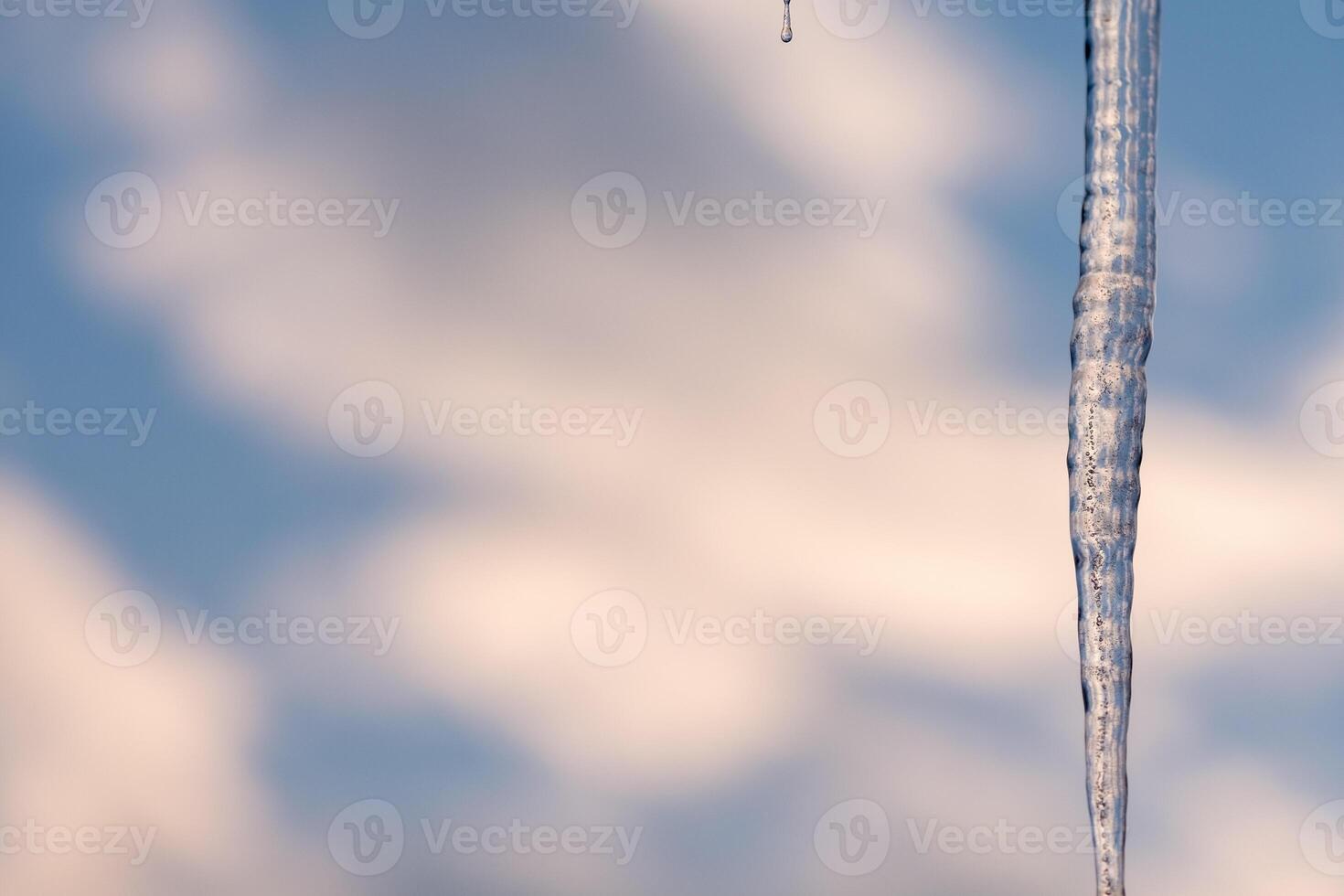 Icicle melting against a blurred sky backdrop A single drop falls photo