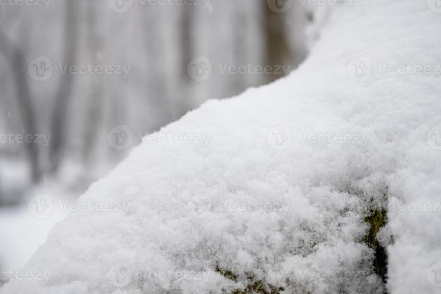 Fresh snow softly blankets a winter scene creating a serene and peaceful atmosphere photo
