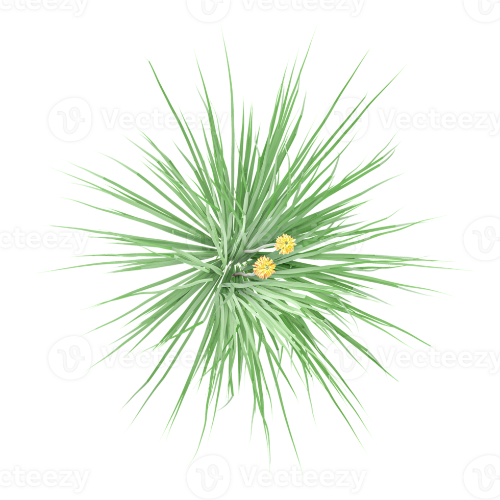 3d illustration of Red hot poker isolated on transparent Canvas from the top view png