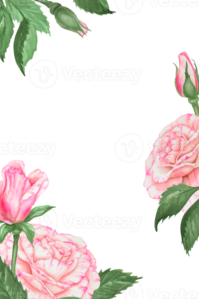 Hand-painted watercolor floral frame featuring pink roses and green leaves. Template with space for text, perfect for wedding invitations, Valentine s Day cards, Mother s Day or spring-themed projects png