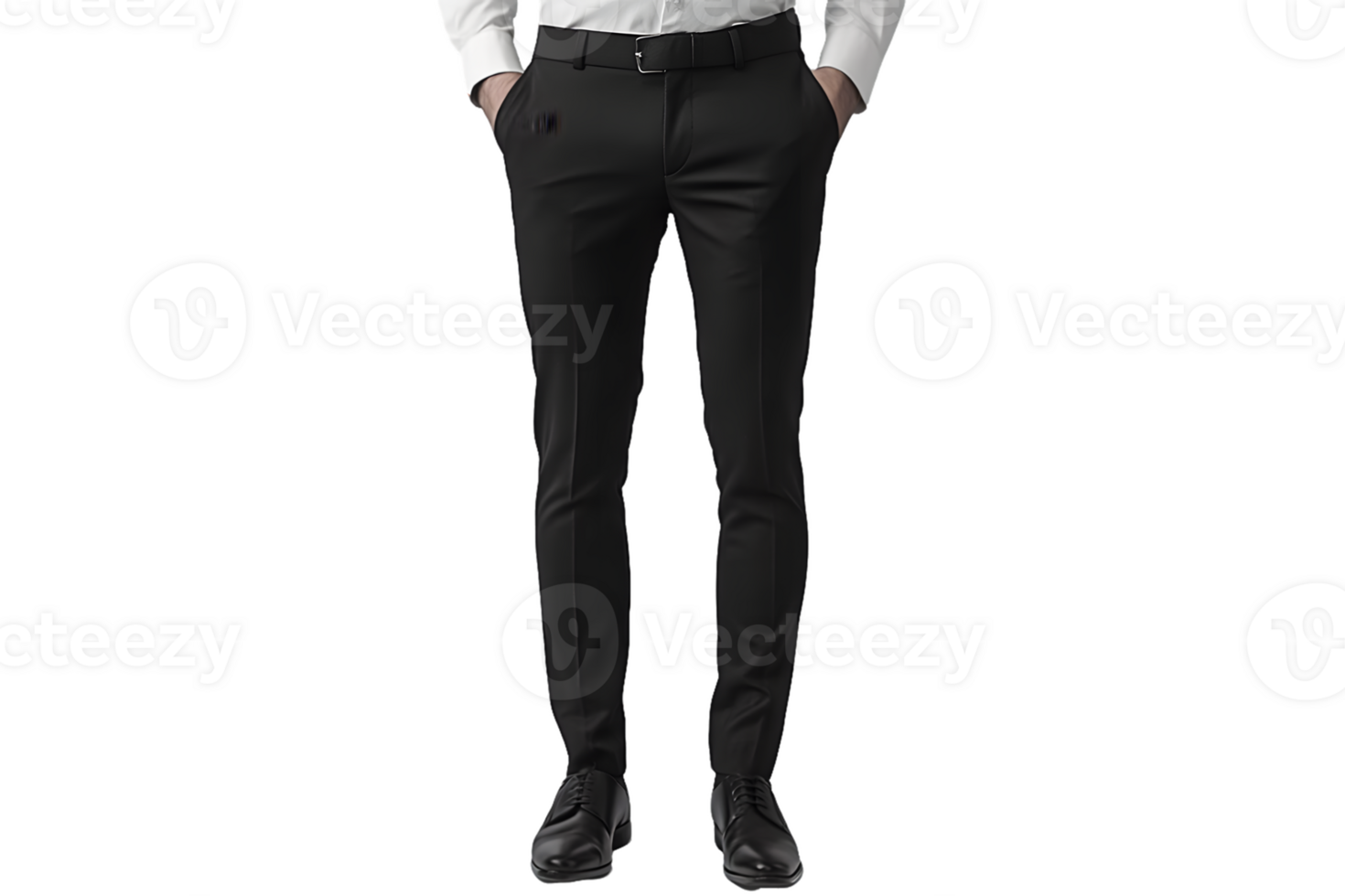 Black Dress Pants, Belt, and Shoes png