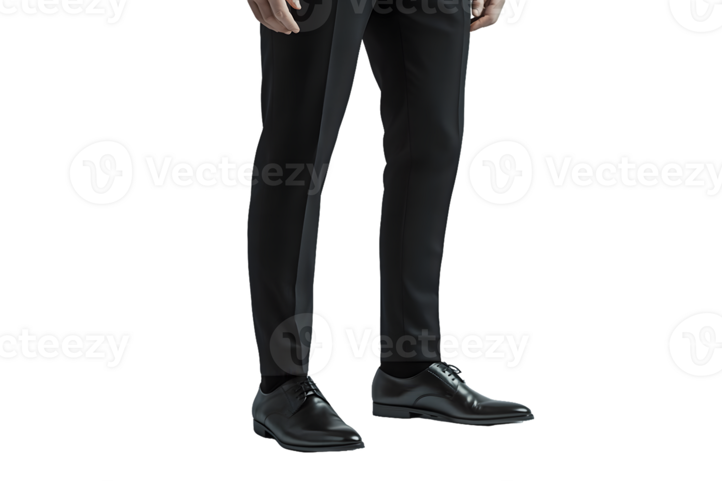 A close-up of a person's legs in formal attire, featuring black shoes and tailored pants. png