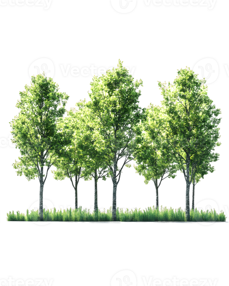 A cluster of lush green trees with grass below, representing nature and tranquility. png