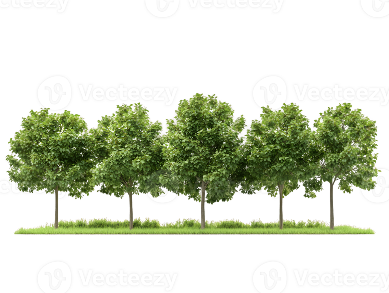 A row of five lush green trees with a grassy base, symbolizing nature and tranquility. png