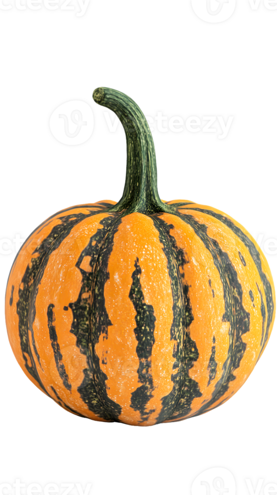 A round, striped pumpkin with orange and green colors, often used for decoration or cooking. png