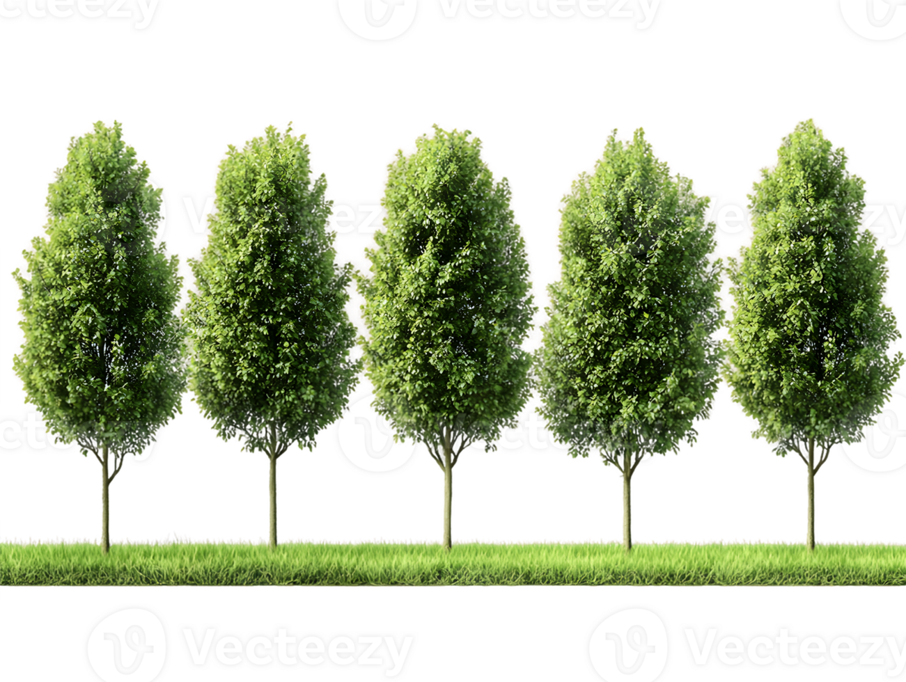 A row of five lush green trees on a grassy area, symbolizing nature and tranquility. png