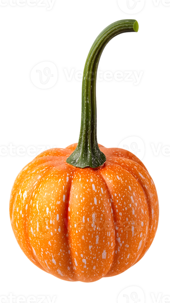 A vibrant orange pumpkin with a green stem, showcasing its textured surface. png