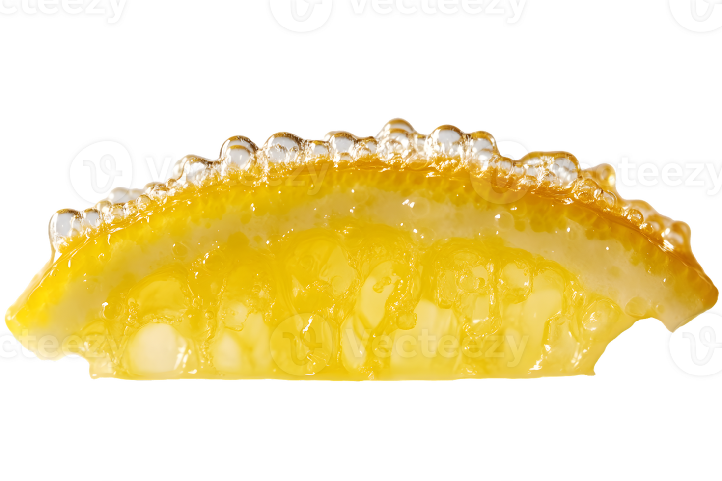 Lemon Slice with Bubbles in Liquid png