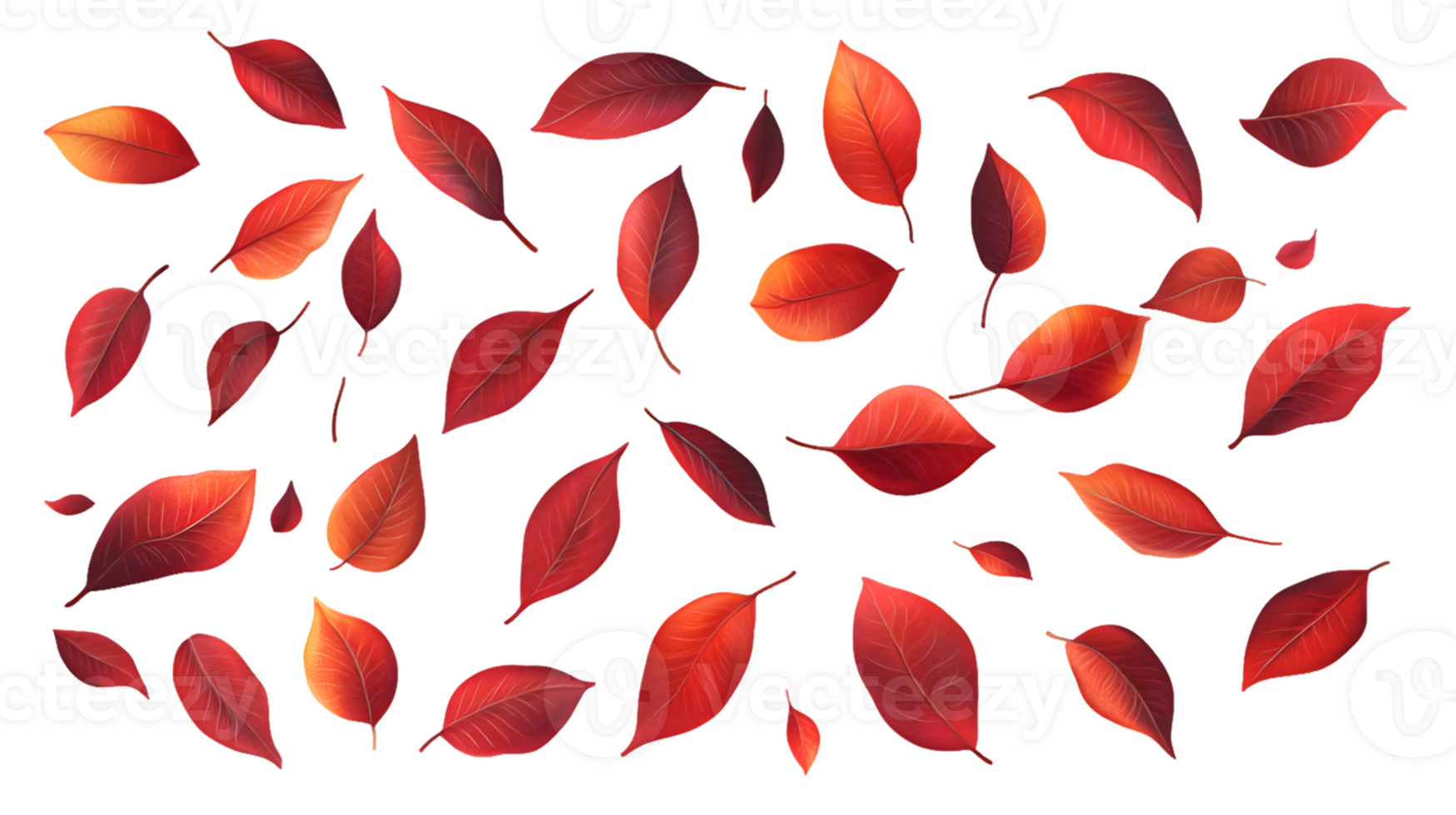 Collection of Autumn Leaves png