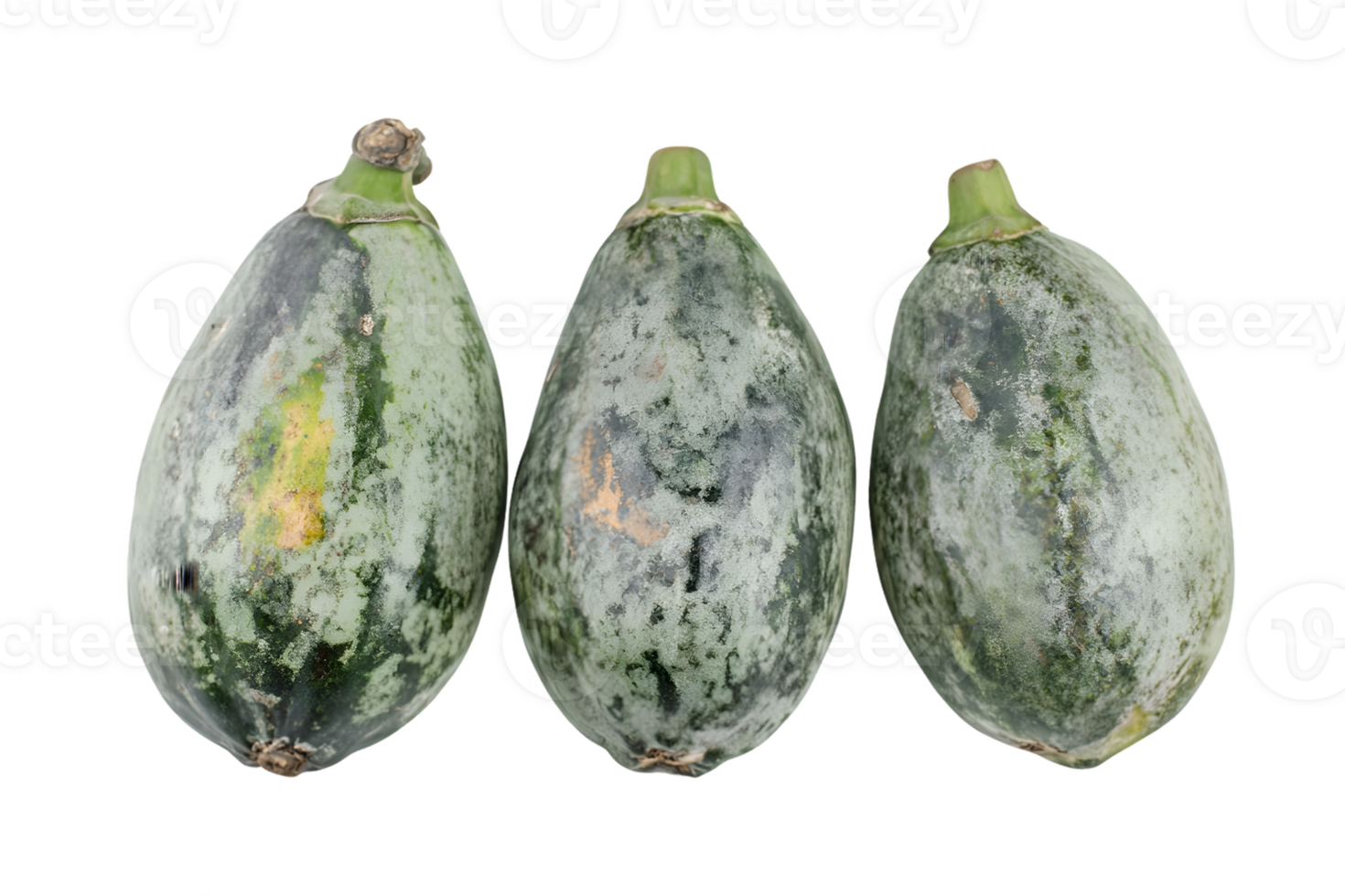 Three Green Mottled Fruits png