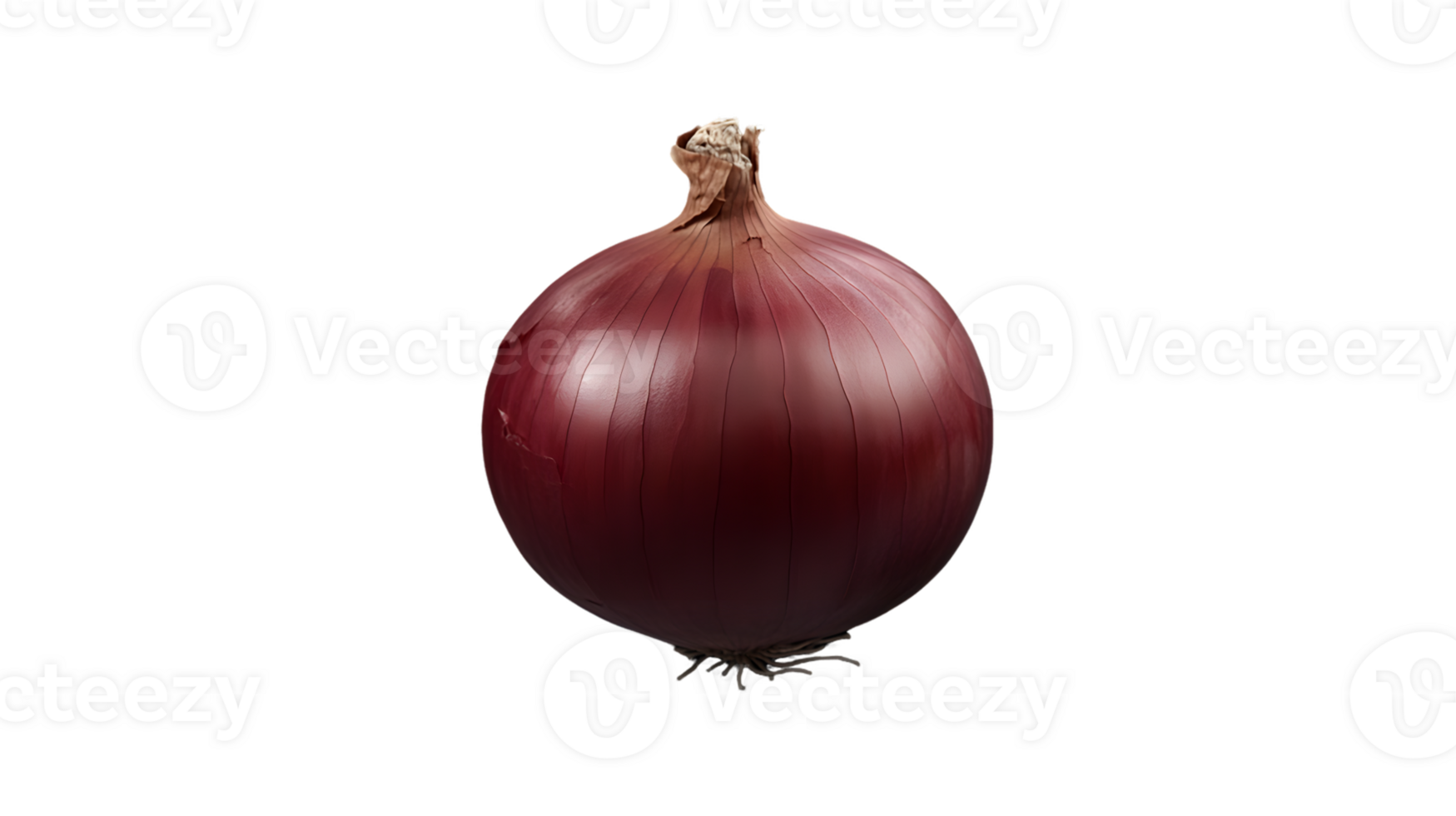 A single red onion with a smooth, shiny surface, showcasing its round shape and brown top. png