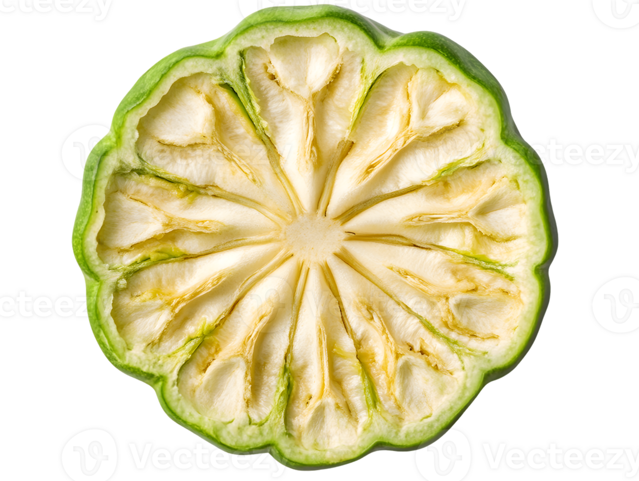 Cross-Section of a Green Fruit Showing Radial Internal Structure png