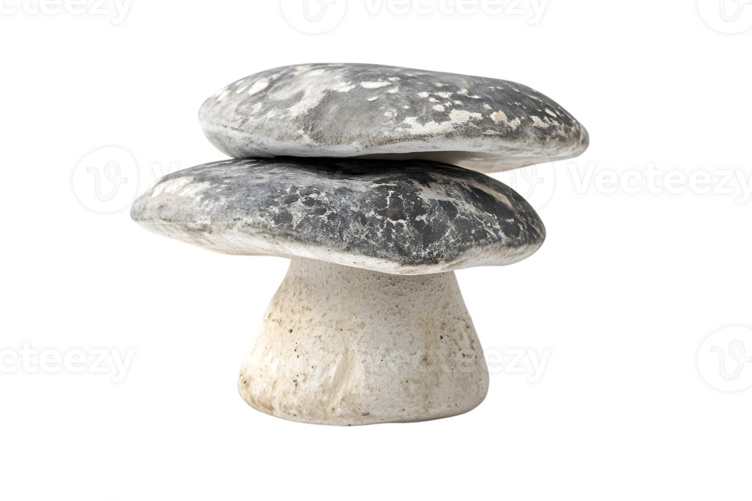 Stacked Stone Mushroom Sculptures png