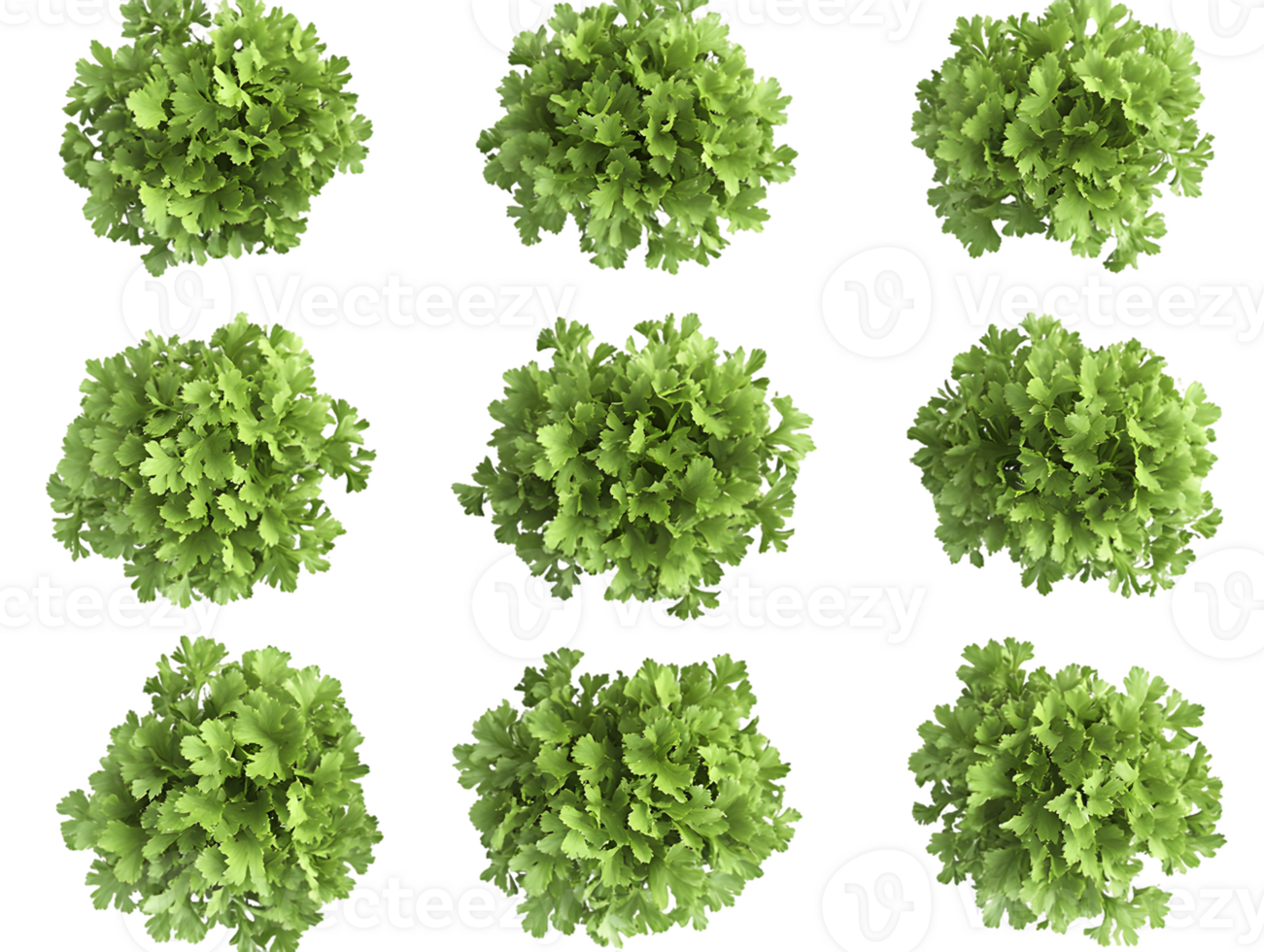 Aerial View of Nine Identical Leafy Plants png