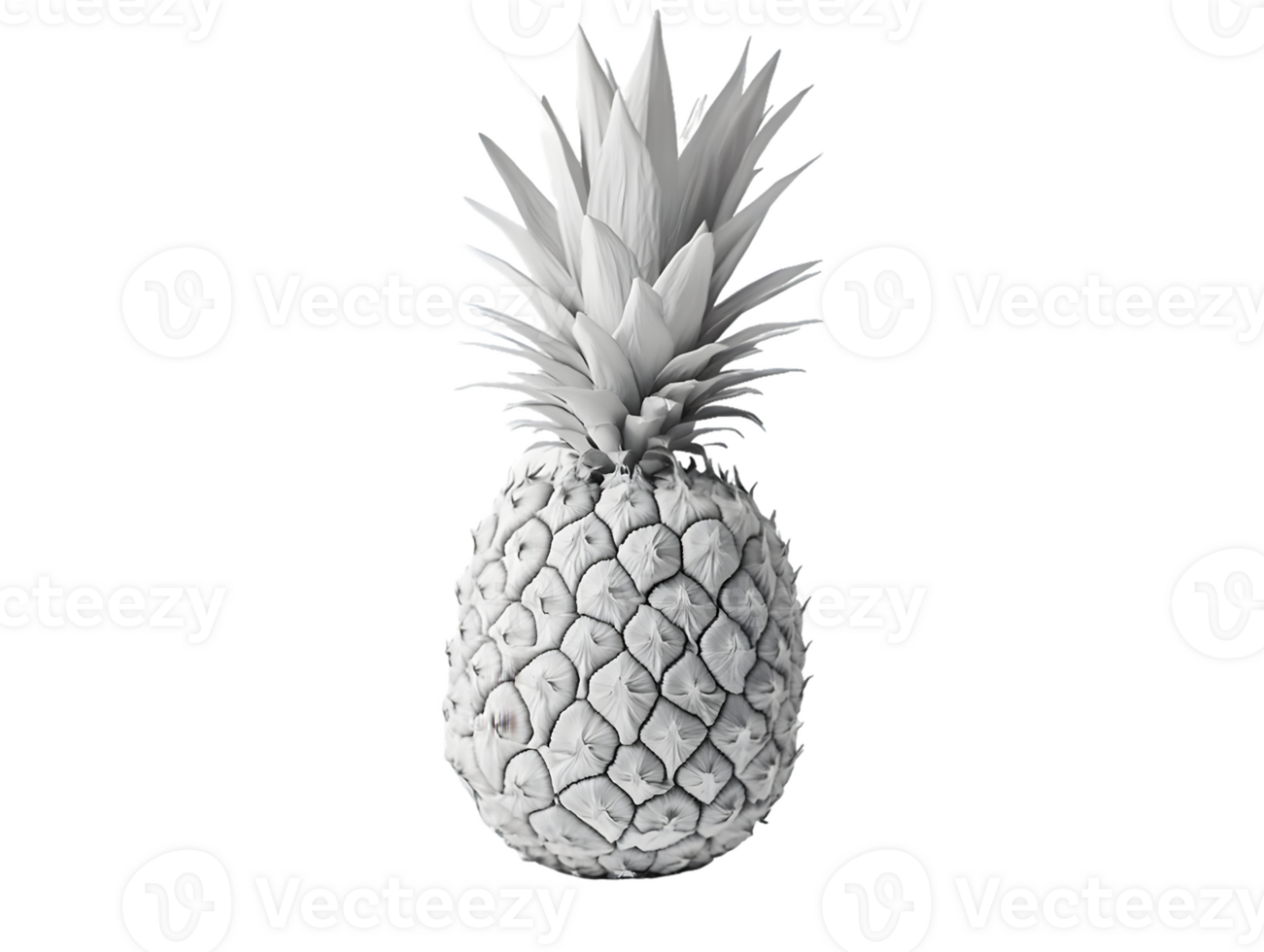 Grayscale Image of a Pineapple png