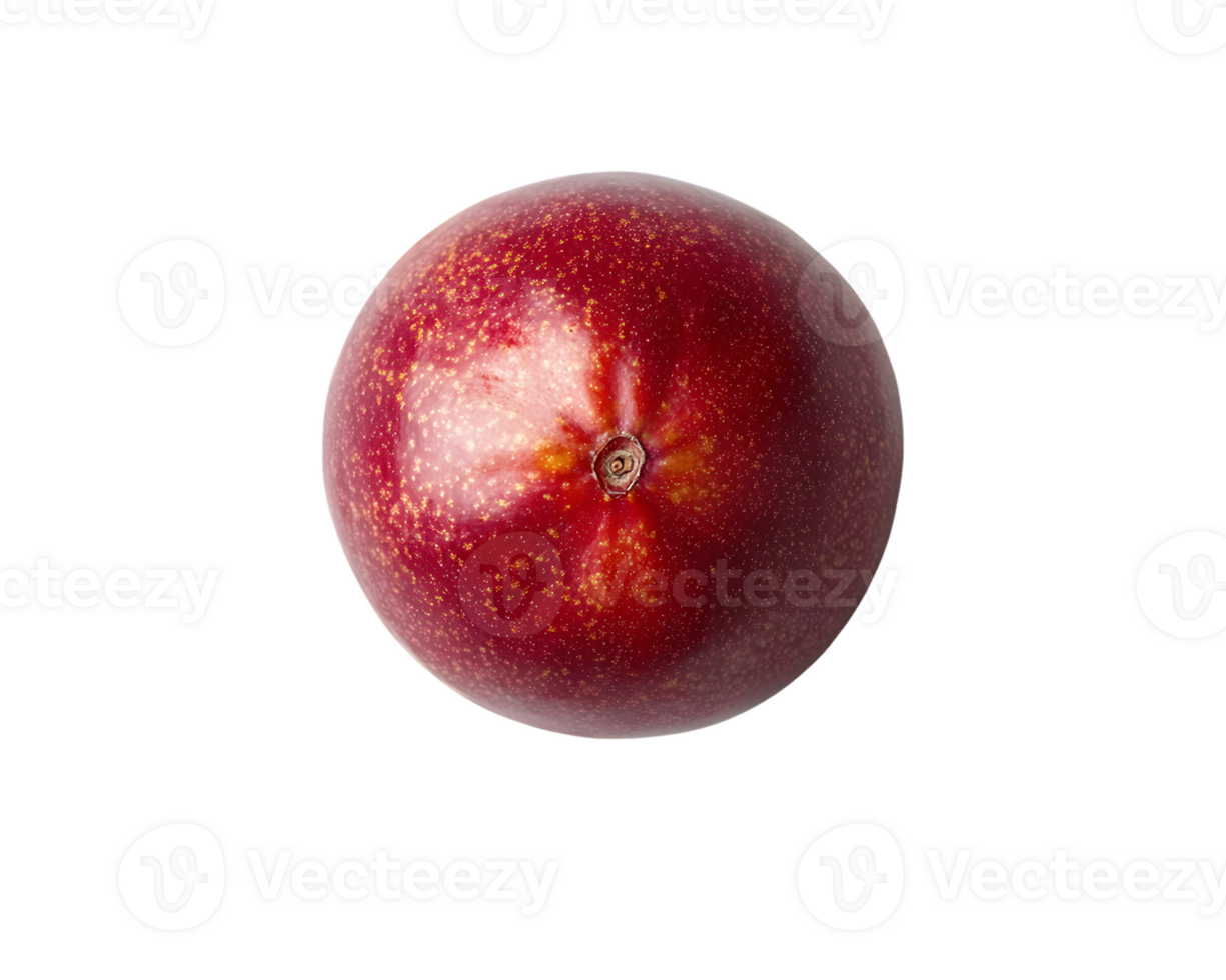 Overhead View of a Single Red Plum png