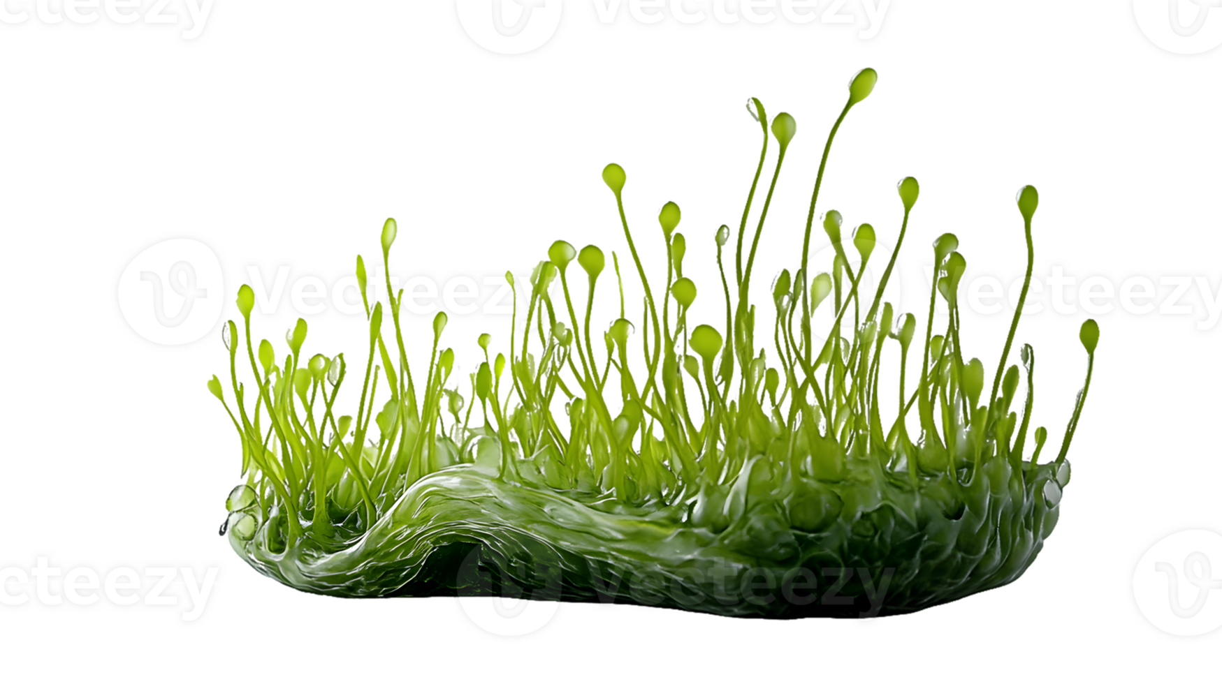 Green Biomorphic Structure with Multiple Tendrils png