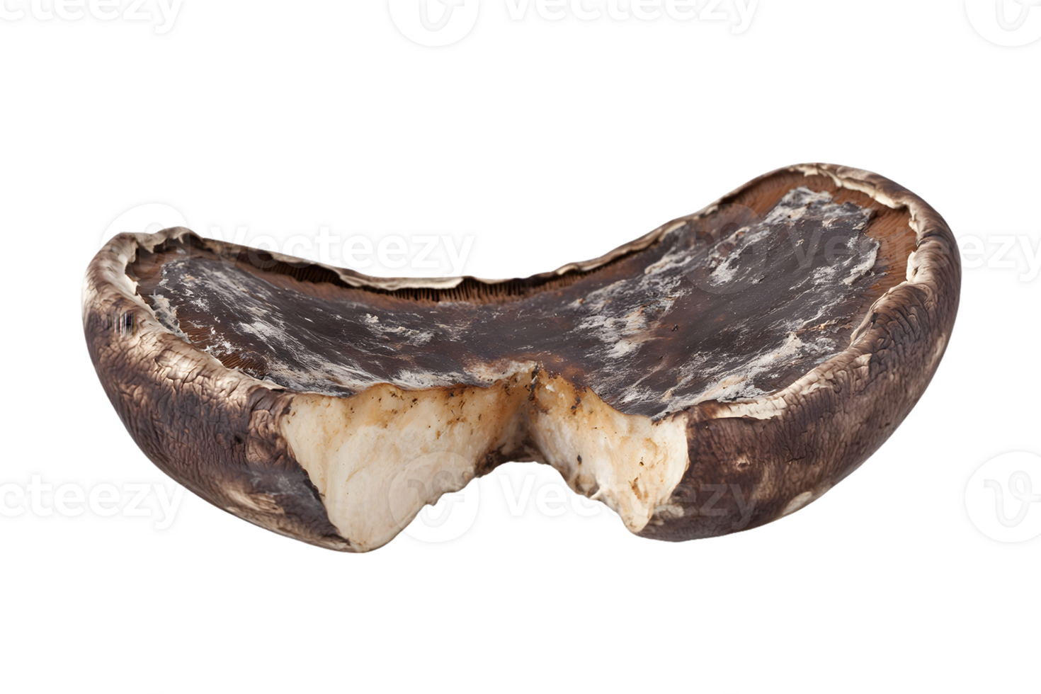 Bisected Dried Portobello Mushroom png