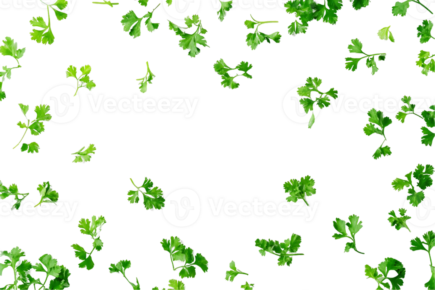 A scattered arrangement of green clovers, creating a vibrant design. png