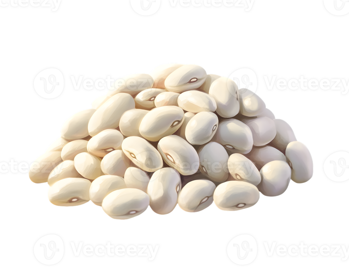 Pile of Dried White Beans png