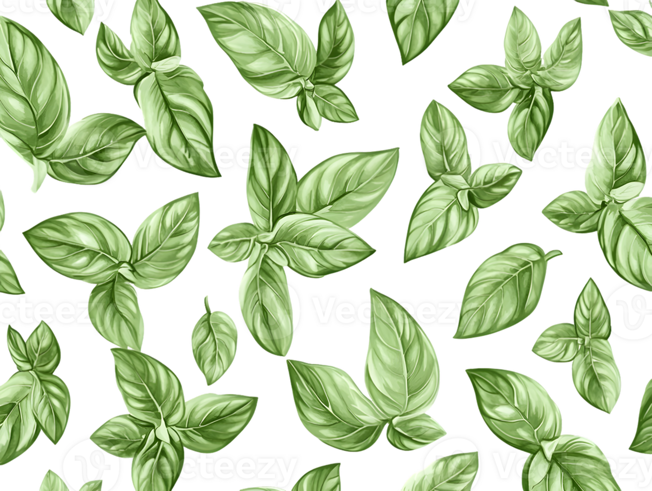 Basil Leaves Pattern png