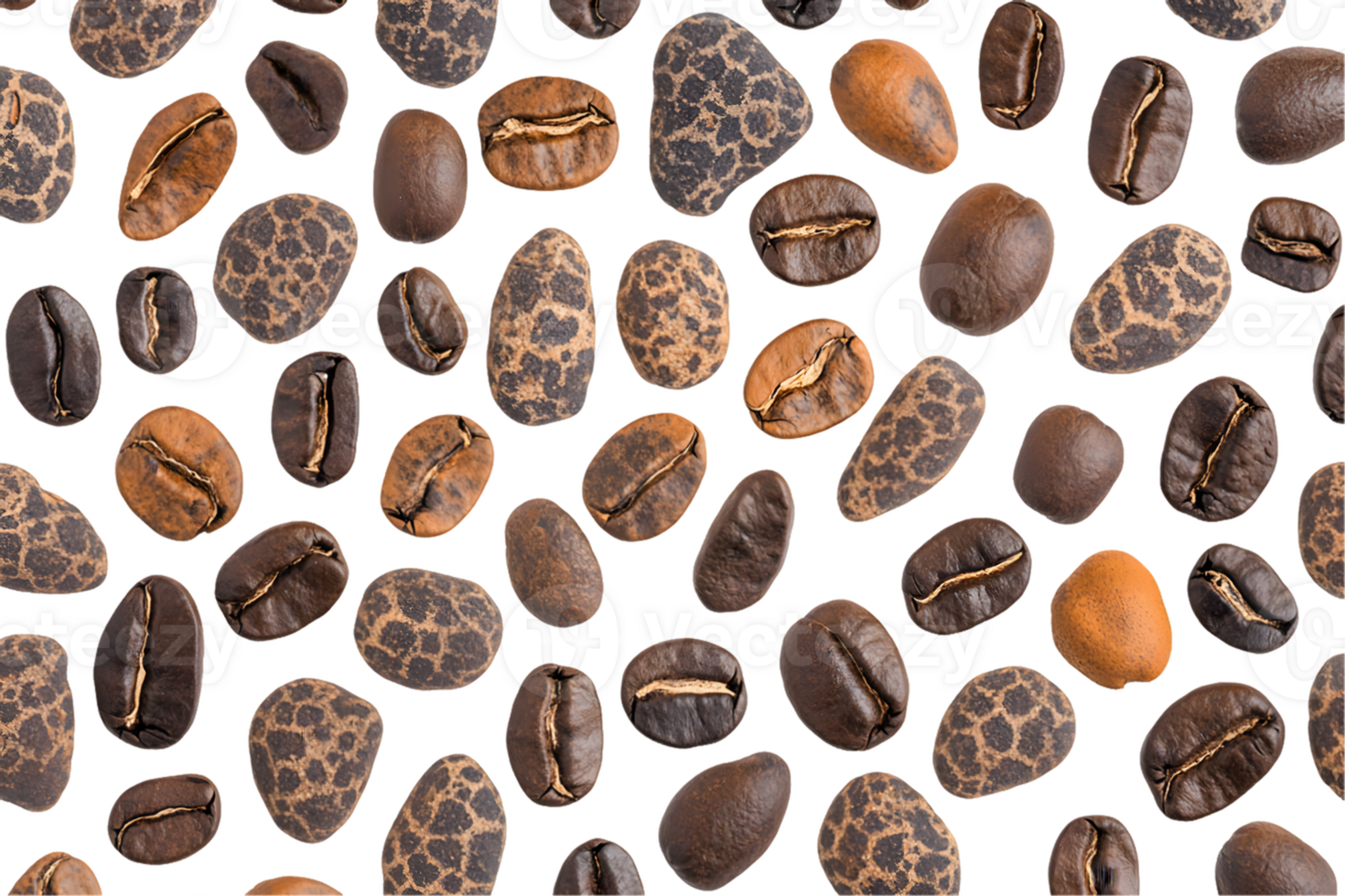 Collection of Roasted Coffee Beans with Varied Color and Pattern png